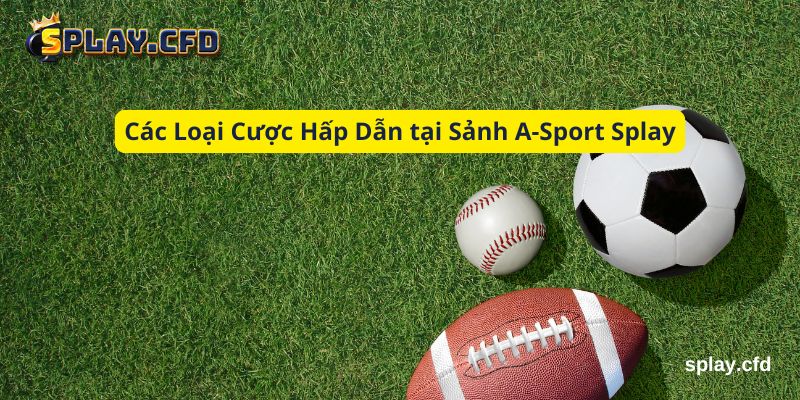 cac loai cuoc hap dan tai sanh a sport splay cac loai cuoc hap dan tai sanh a sport splay