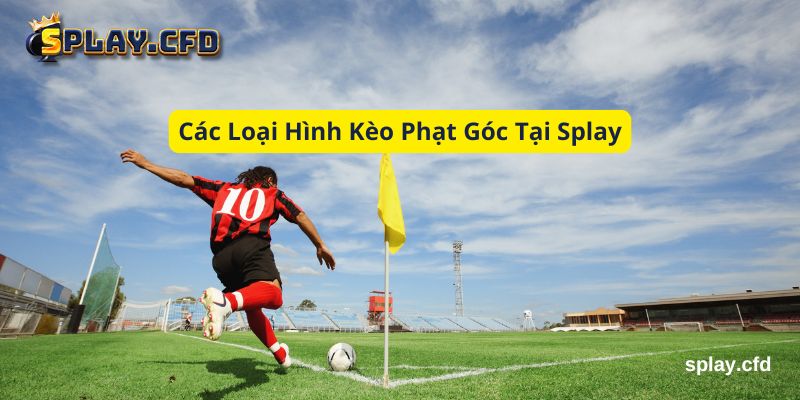 cac loai hinh keo phat goc tai splay cac loai hinh keo phat goc tai splay