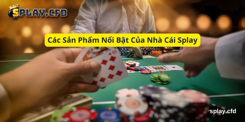 cac san pham noi bat cua nha cai splay cac san pham noi bat cua nha cai splay