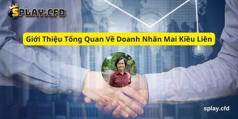gioi thieu tong quan ve doanh nhan mai kieu lien gioi thieu tong quan ve doanh nhan mai kieu lien