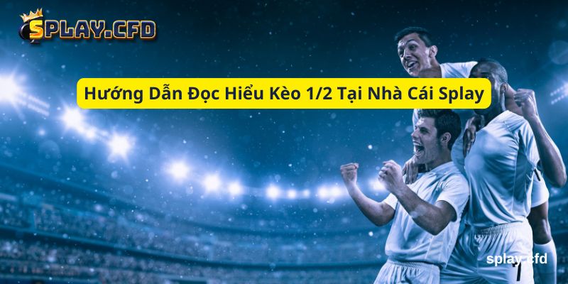 huong dan doc hieu keo 1 2 tai nha cai splay huong dan doc hieu keo 1 2 tai nha cai splay