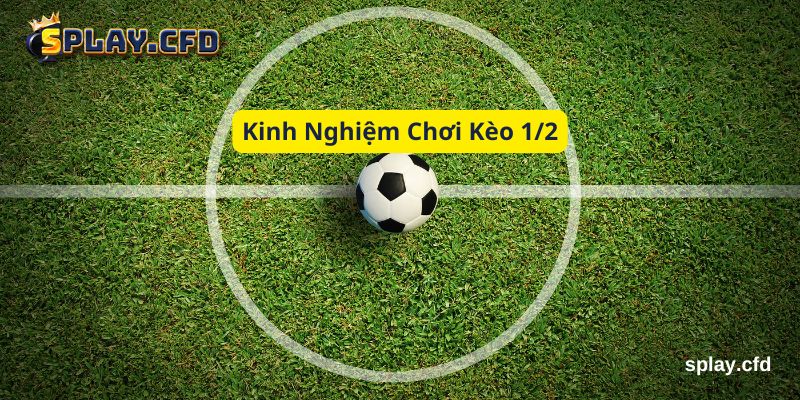 Cách đọc hiểu luật kèo 1/2 splay Cách đọc hiểu luật kèo 1/2 splay