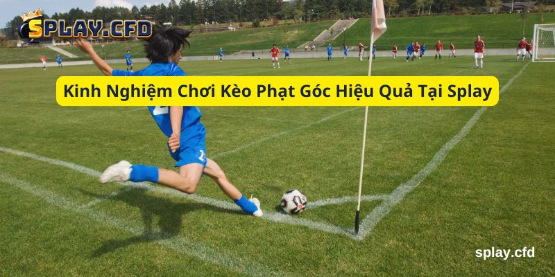 kinh nghiem choi keo phat goc hieu qua tai splay kinh nghiem choi keo phat goc hieu qua tai splay