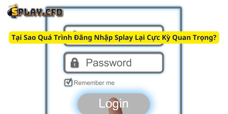 tai sao qua trinh dang nhap splay lai cuc ky quan trong tai sao qua trinh dang nhap splay lai cuc ky quan trong