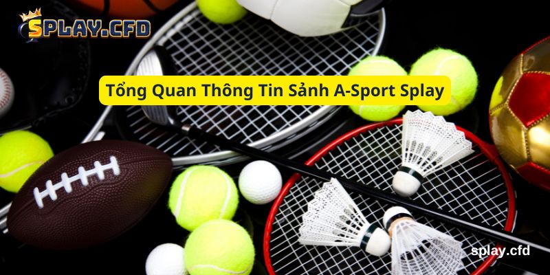 tong quan thong tin sanh a sport splay tong quan thong tin sanh a sport splay