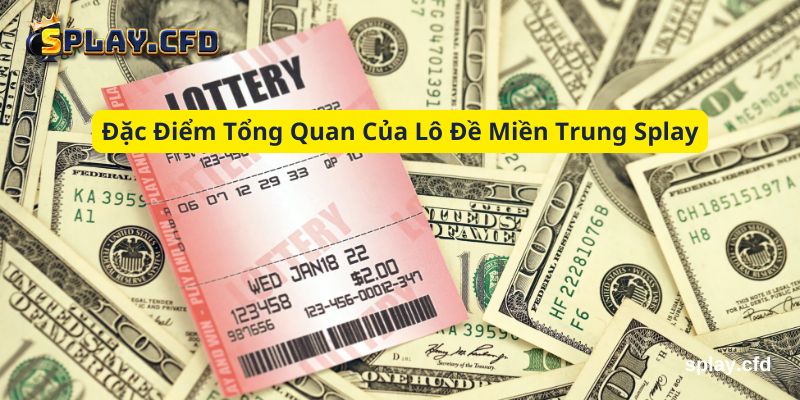 dac diem tong quan cua lo de mien trung splay dac diem tong quan cua lo de mien trung splay