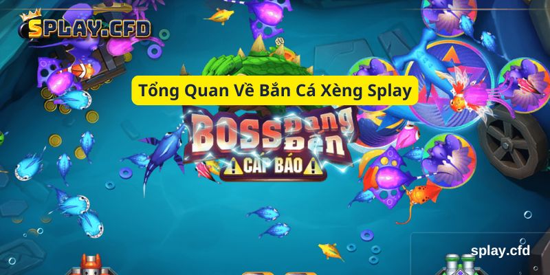tong quan ve ban ca xeng splay tong quan ve ban ca xeng splay